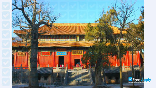 Zhengzhou Shengda University of Economics Business and Management фотография №8