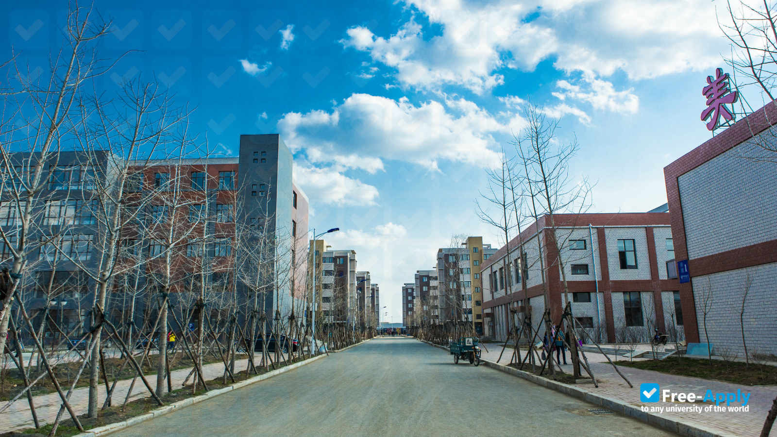 Shenyang Urban Construction University фотография №4