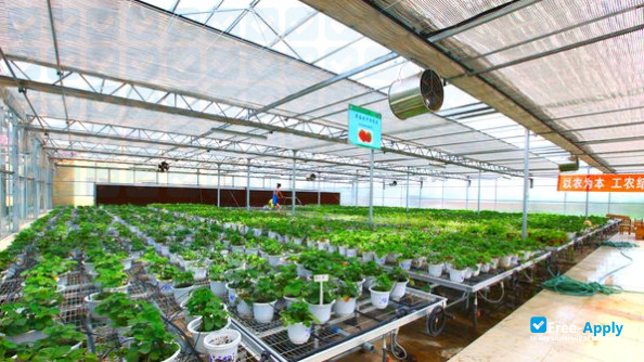 Heilongjiang Agricultural Engineering Vocational College photo