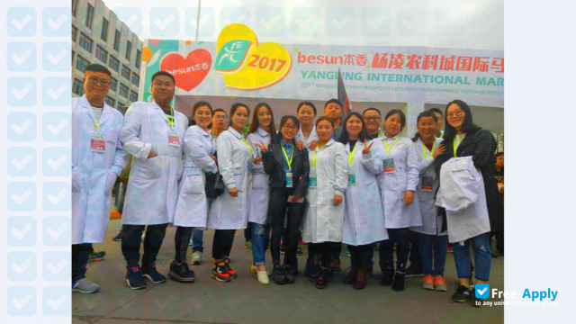 Shaanxi Medical School photo #6