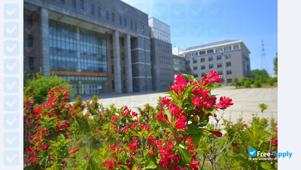 Shenyang Northern Software College of Information Technology photo #6