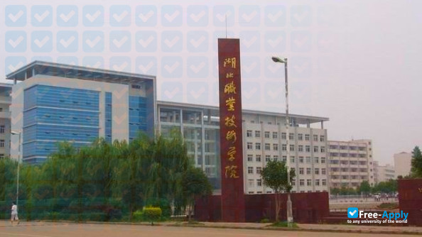 Foto de la Hubei Polytechnic Institute #3