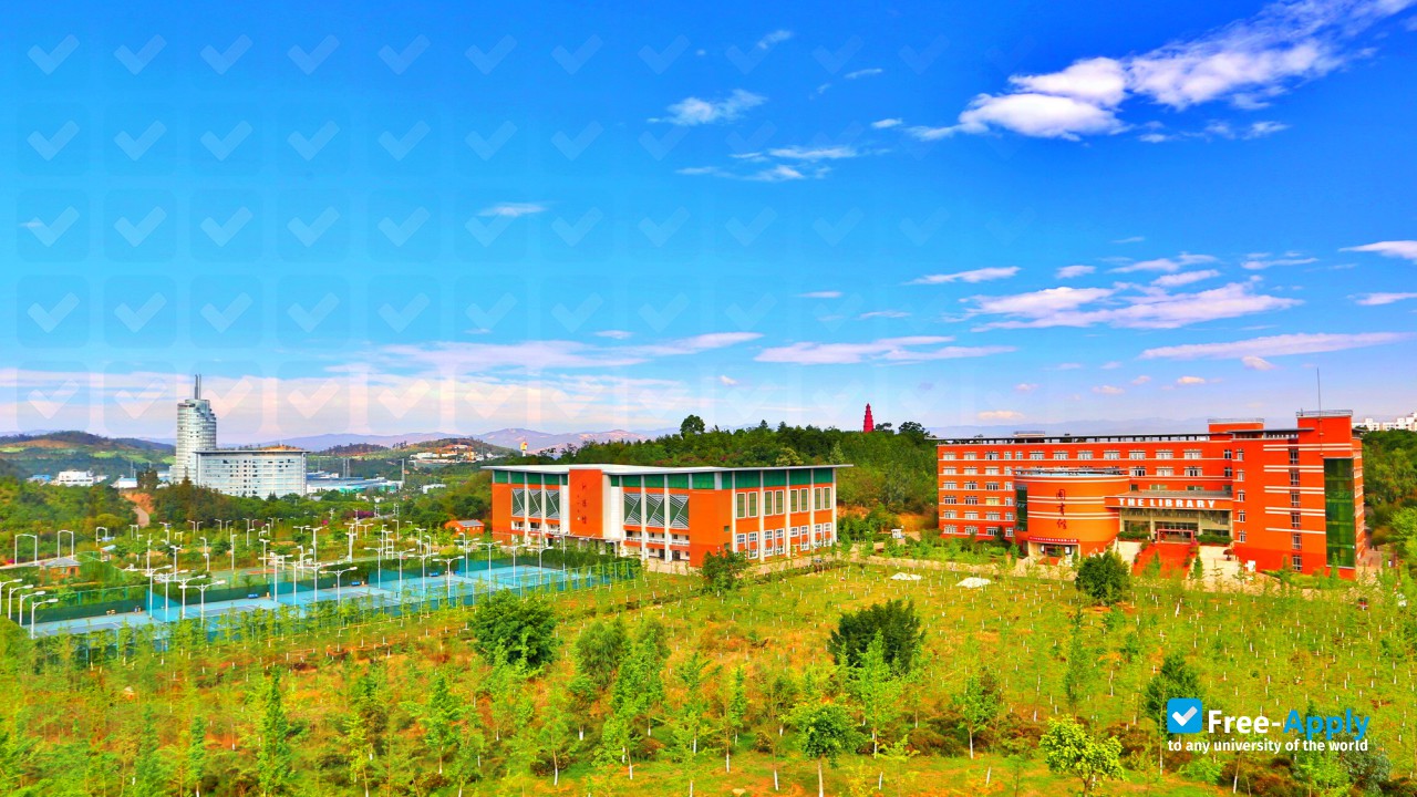 Yuxi Normal University photo #4