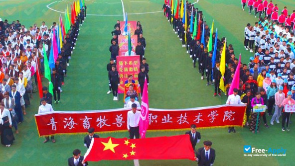 Qinghai Vocational and Technical College of Animal Husbandry and Veterinary Medicine photo #10