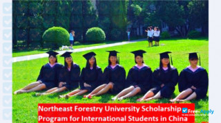Northeast Forestry University миниатюра №9