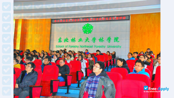Photo de l’Northeast Forestry University #9