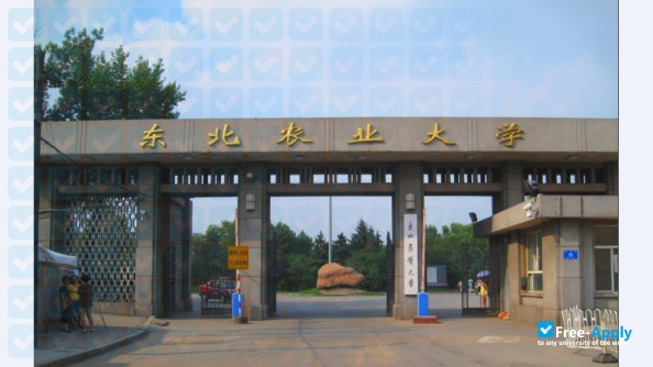 Photo de l’Northeast Agricultural University #7