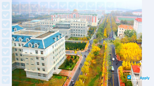 Liaoning University of International Business & Economics фотография №5
