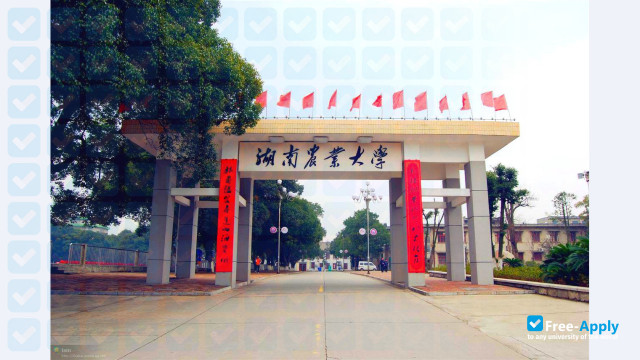 Foto de la Hunan Agricultural University #2
