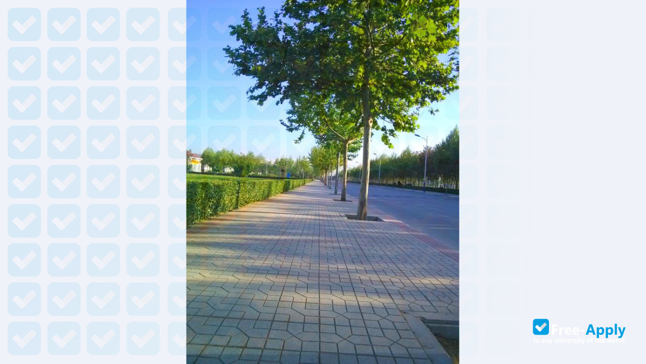 Shijiazhuang Information Engineering Vocational College фотография №7