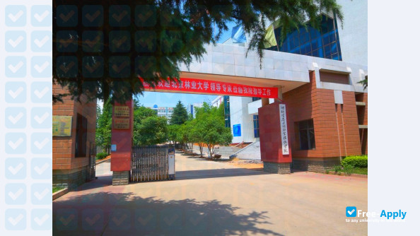 Foto de la Hubei Ecology Vocational College #2