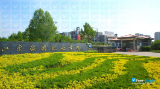 Shandong College of Tourism & Hospitality миниатюра №12