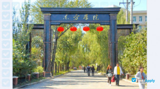 East University of Heilongjiang vignette #5