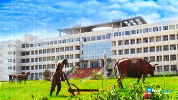 Art Vocational University inner Mongolia photo #2