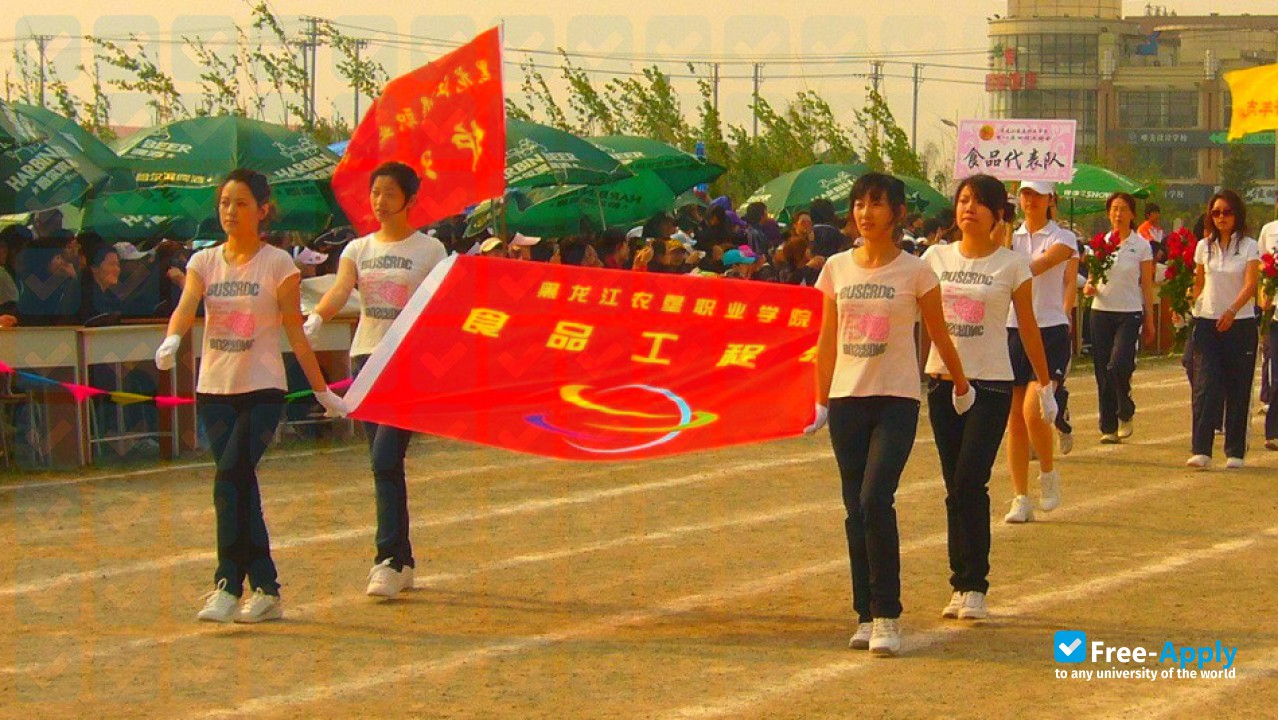 Heilongjiang Nongken Vocational College photo