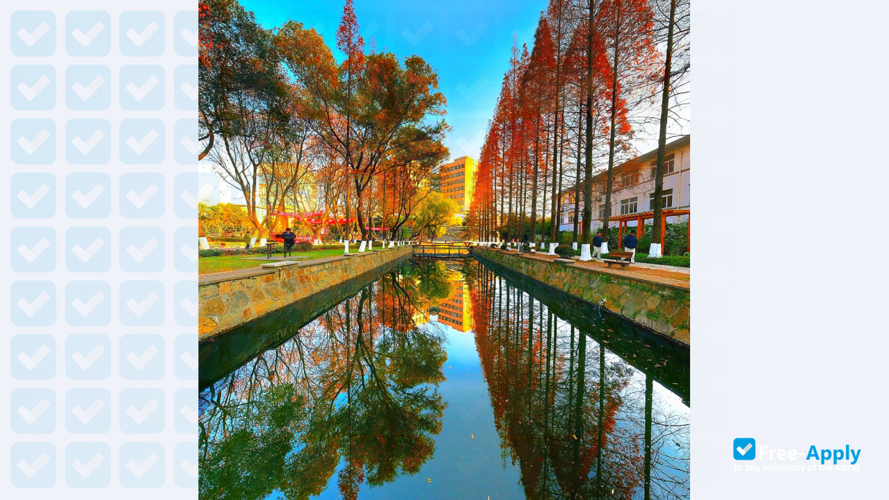 Foto de la Tongji University #4