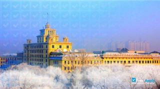 Miniatura de la Heilongjiang University #3