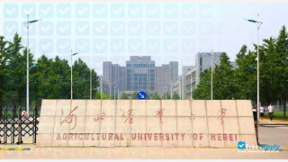 Hebei Agricultural University миниатюра №5