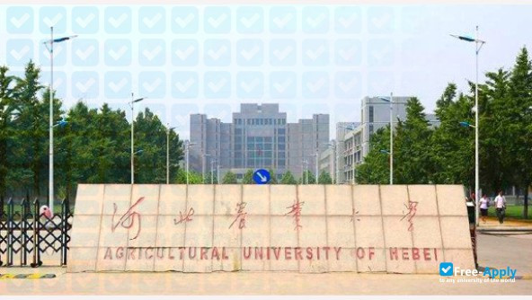 Hebei Agricultural University фотография №5
