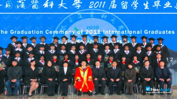 Foto de la Youjiang Medical University for Nationalities #7