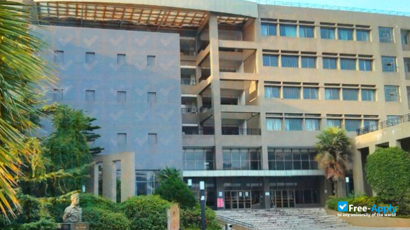Foto de la Yunan Arts University #5