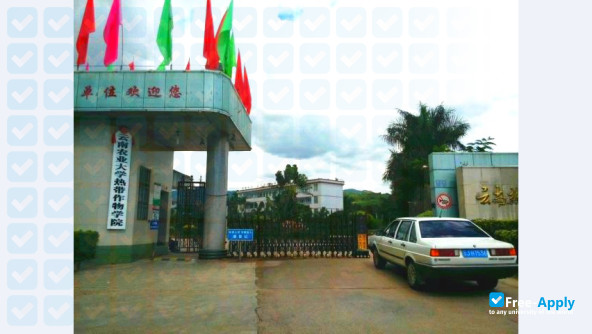 Yunnan Agricultural University Institute of Tropical Crops photo #7