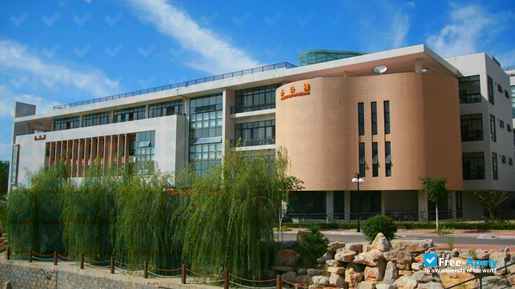 Shandong University of Arts photo #2