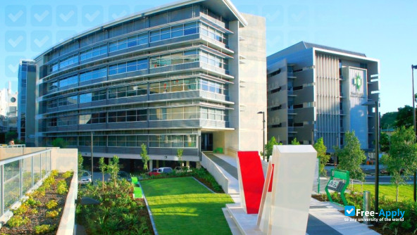 Guangdong Lingnan Institute of Technology photo #5