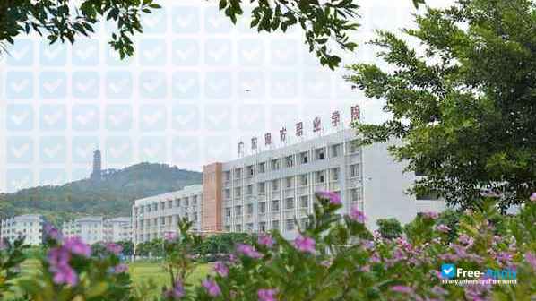 Foto de la Guangdong Nanfang Vocational College #3