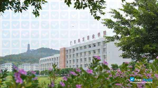Guangdong Nanfang Vocational College photo #1