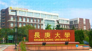 Chang Gung University of Science and Technology vignette #2