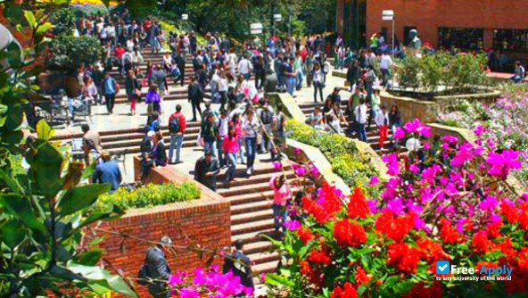 Photo de l’Externado University of Colombia #4