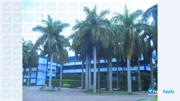 Santiago de Cali University photo #8