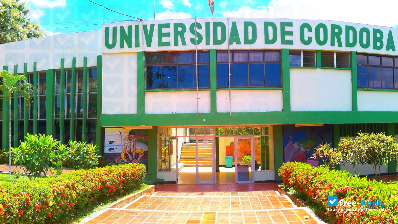 University of Cordoba photo #8
