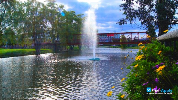 Foto de la University of La Sabana #11