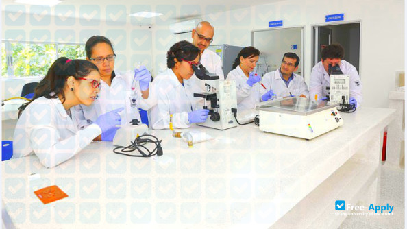 Photo de l’University of Santander #5
