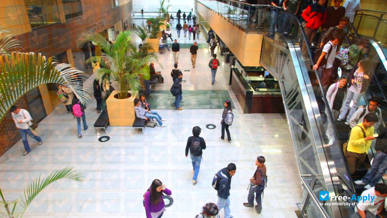 Foto de la University of Los Andes #8
