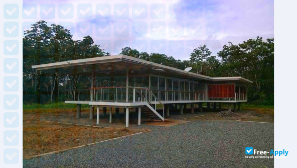 National University of Colombia at Tumaco photo #4