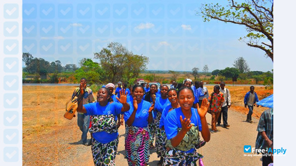 Katanga Methodist University photo #2