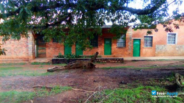 Foto de la Katanga Methodist University #1