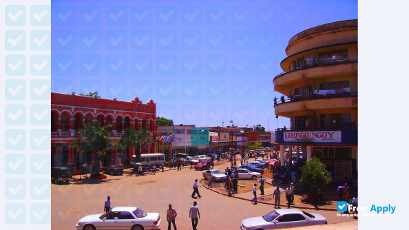 Labour University of Lubumbashi фотография №6