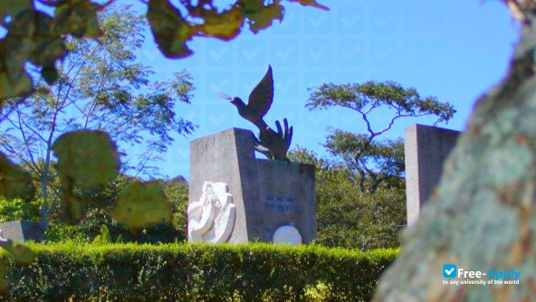 Photo de l’Santa Paula University #13