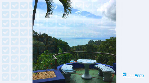 Foto de la Costa Rica Spanish Institute #7