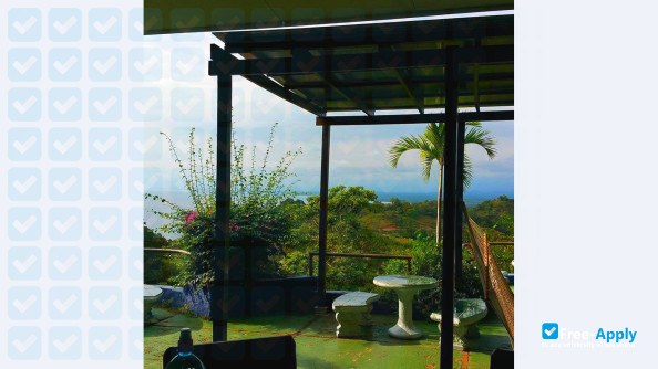 Foto de la Costa Rica Spanish Institute #16