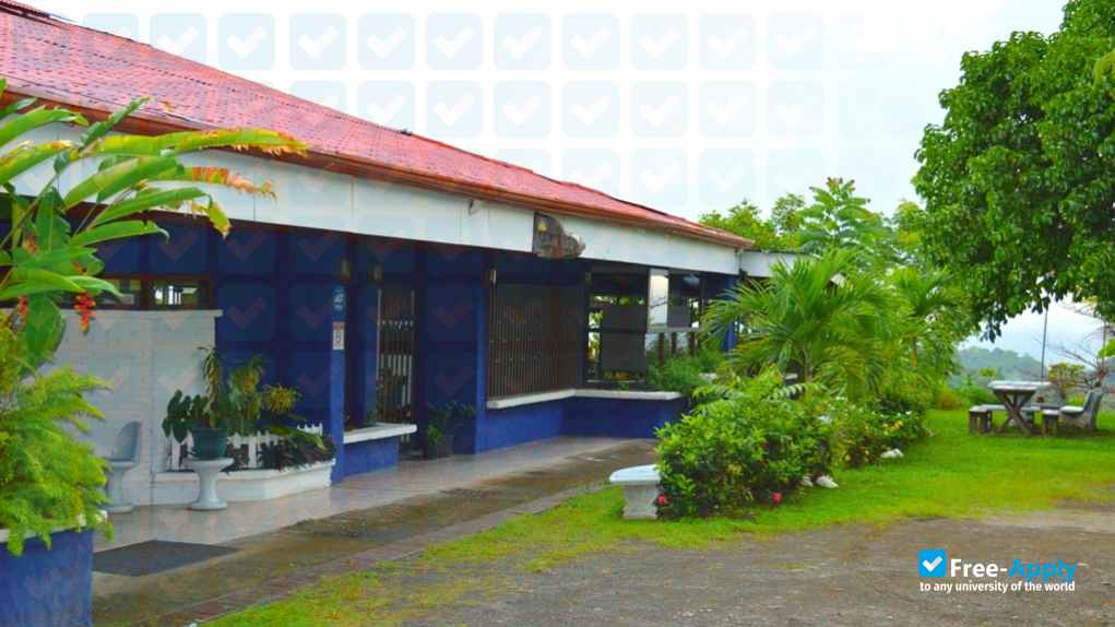Foto de la Costa Rica Spanish Institute #6