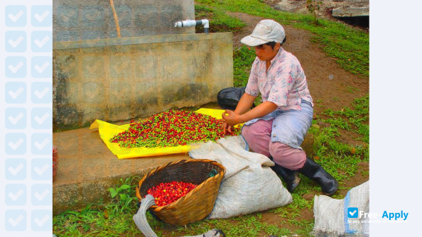 Tropical Agro. Center of Invest. and Education
