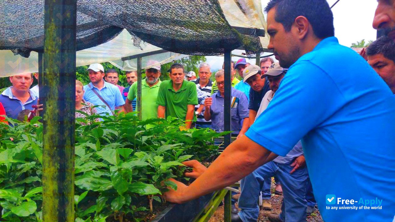 Tropical Agro. Center of Invest. and Education photo #3