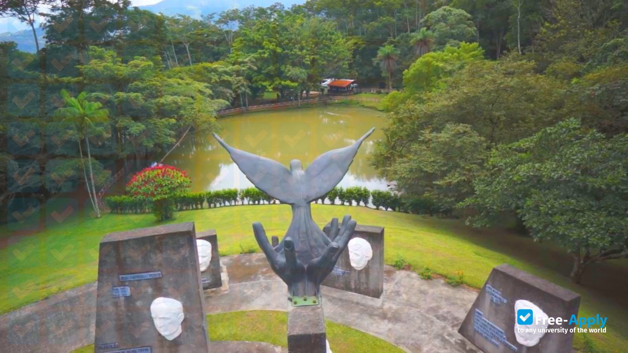 University for Peace photo #6
