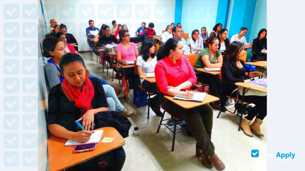 Foto de la University School of Boston #13