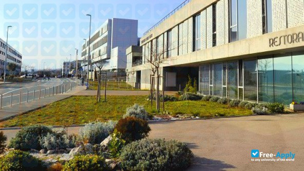 Foto de la University of Rijeka #8